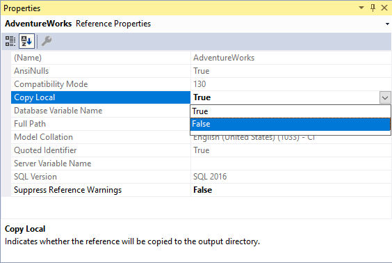 Copy Local drop down being set to false