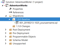 1.0.0-Baseline folder appearing in the Visual Studio Solution Explorer